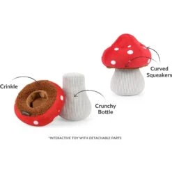 P.L.A.Y. Pet Lifestyle And You Blooming Buddies Set Plush Squeaky Dog Toy, 5 Count 13 P.L.A.Y. Pet Lifestyle And You Blooming Buddies Set Plush Squeaky Dog Toy, 5 Count -Pet Dog Supply Store 896654 PT2. AC SS1800 V1695593826