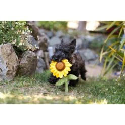 P.L.A.Y. Pet Lifestyle And You Blooming Buddies Set Plush Squeaky Dog Toy, 5 Count 15 P.L.A.Y. Pet Lifestyle And You Blooming Buddies Set Plush Squeaky Dog Toy, 5 Count -Pet Dog Supply Store 896654 PT4. AC SS1800 V1695593824