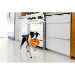 P.L.A.Y. Pet Lifestyle And You P.L.A.Y. X Earth Rated Montreal Bagel Plush Squeaky Dog Toy 11 P.L.A.Y. Pet Lifestyle And You P.L.A.Y. X Earth Rated Montreal Bagel Plush Squeaky Dog Toy -Pet Dog Supply Store 896766 PT4. AC SS1800 V1689795003