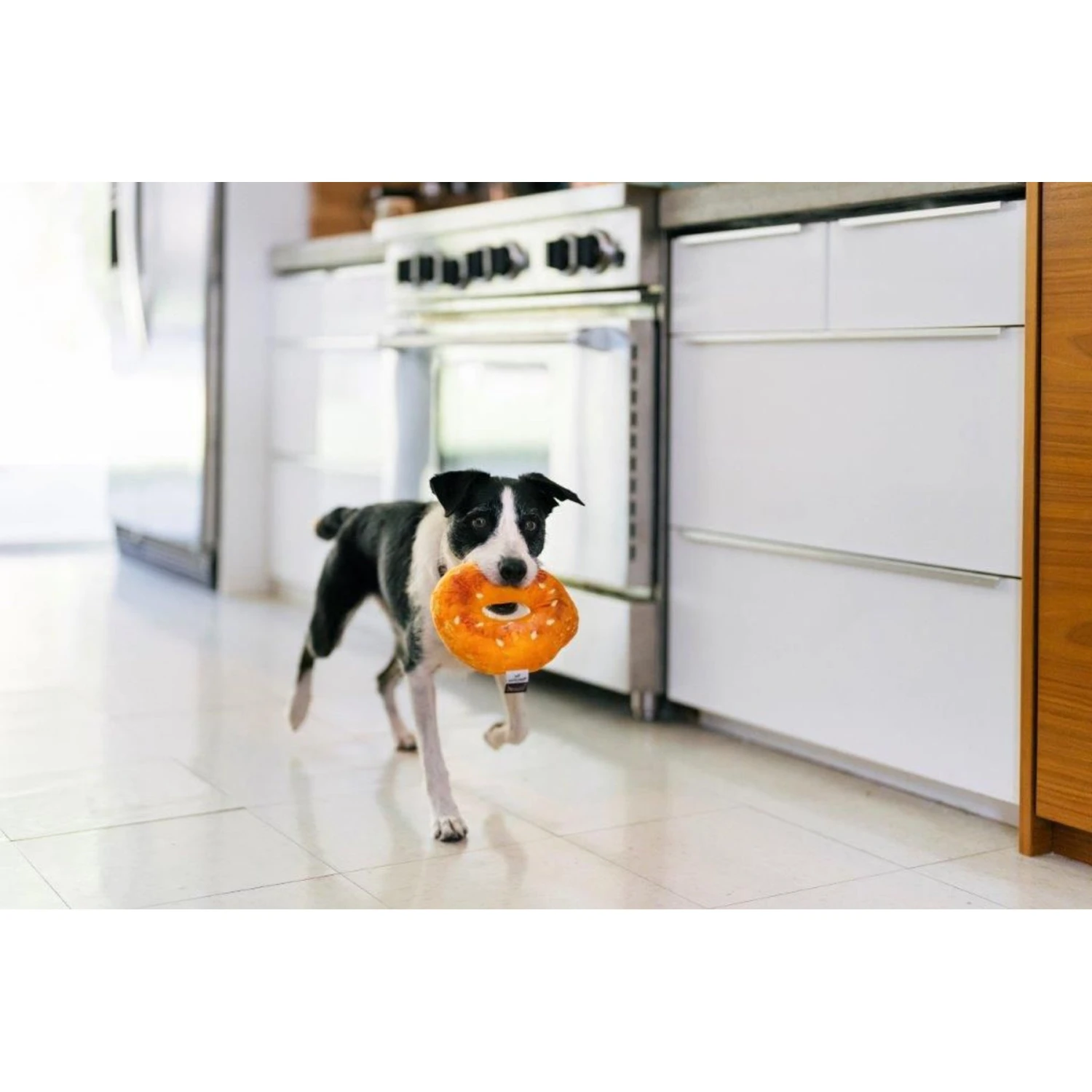 P.L.A.Y. Pet Lifestyle And You P.L.A.Y. X Earth Rated Montreal Bagel Plush Squeaky Dog Toy 7 P.L.A.Y. Pet Lifestyle And You P.L.A.Y. X Earth Rated Montreal Bagel Plush Squeaky Dog Toy - Image 5