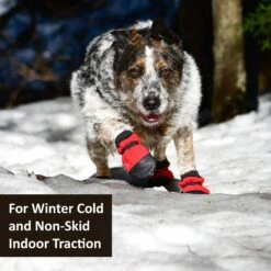 Muttluks Hott Doggers Dog Boot, 4 Boots -Pet Dog Supply Store 897510 PT2. AC SS1800 V1689963547