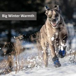 Muttluks Snow Mushers Winter Dog Boot, 2 Boots -Pet Dog Supply Store 897710 PT6. AC SS1800 V1689960683