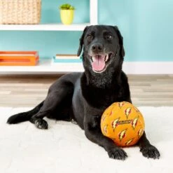 Mighty Squeaky Stuffing-Free Plush Ball Dog Toy 10 Mighty Squeaky Stuffing-Free Plush Ball Dog Toy -Pet Dog Supply Store 90111 PT3. AC SS1800 V1589560616