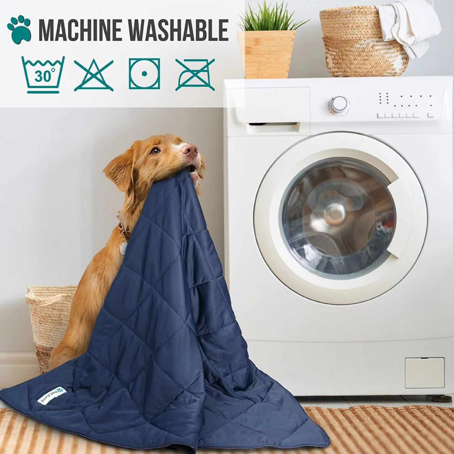 PetAmi Soft Cooling Cat & Dog Blanket 7 PetAmi Soft Cooling Cat & Dog Blanket - Image 5