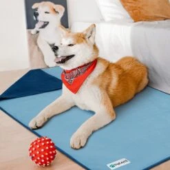 PetAmi Reversible Fleece Waterproof Cat & Dog Blanket 13 PetAmi Reversible Fleece Waterproof Cat & Dog Blanket -Pet Dog Supply Store 904070 PT4. AC SS1800 V1688392684