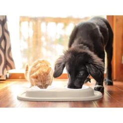 WeatherTech Double Low Poly Bowl Cat & Dog Pet Feeding System -Pet Dog Supply Store 904870 PT2. AC SS1800 V1695584988