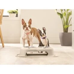 WeatherTechSingle High Stainless Steel Cat & Dog Pet Feeding System -Pet Dog Supply Store 905238 PT2. AC SS1800 V1695587877