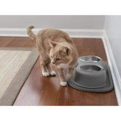 WeatherTechSingle High Stainless Steel Cat & Dog Pet Feeding System -Pet Dog Supply Store 905238 PT3. AC SS1800 V1695587873