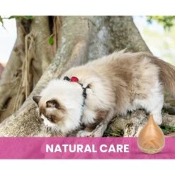 Gou Gou Pets Essential Oil Diffuser Dog & Cat Spray 14 Gou Gou Pets Essential Oil Diffuser Dog & Cat Spray -Pet Dog Supply Store 918102 PT4. AC SS1800 V1694442931