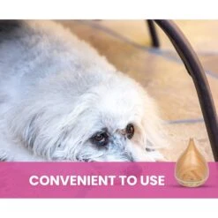 Gou Gou Pets Essential Oil Diffuser Dog & Cat Spray 16 Gou Gou Pets Essential Oil Diffuser Dog & Cat Spray -Pet Dog Supply Store 918102 PT6. AC SS1800 V1694442989
