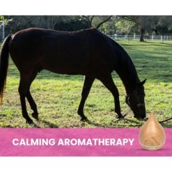 Gou Gou Pets Essential Oil Diffuser Dog & Cat Spray 17 Gou Gou Pets Essential Oil Diffuser Dog & Cat Spray -Pet Dog Supply Store 918102 PT7. AC SS1800 V1694442983