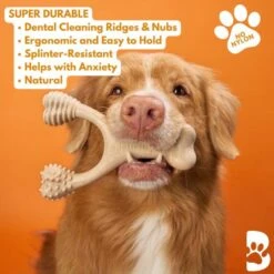 BetterBone Tough Beef Dog Toy, Natural -Pet Dog Supply Store 919166 PT3. AC SS1800 V1691775894