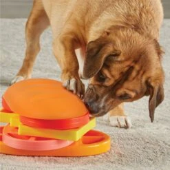 Brightkins Pupstrami Surprise! Treat Puzzle Dog Toy -Pet Dog Supply Store 930102 PT4. AC SS1800 V1698765995