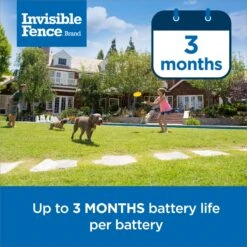 PetSafe Single Invisible Fence Battery 10 PetSafe Single Invisible Fence Battery -Pet Dog Supply Store 940510 PT3. AC SS1800 V1692306126