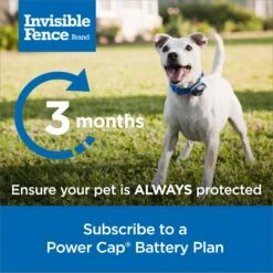 PetSafe Single Invisible Fence Battery 11 PetSafe Single Invisible Fence Battery -Pet Dog Supply Store 940510 PT4. AC SS1800 V1692306127