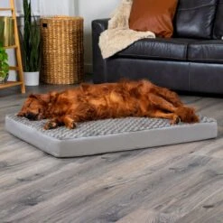 FurHaven NAP Ultra Plush Orthopedic Deluxe Cat & Dog Bed With Removable Cover & FurHaven Water-Resistant Cat & Dog Bed Mattress Liner -Pet Dog Supply Store 947478 PT4. AC SS1800 V1693921596