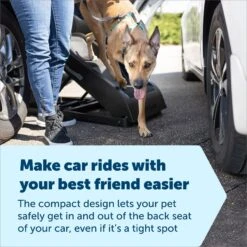 Pet Dog Supply Store -Pet Dog Supply Store 952958 PT1. AC SS1800 V1694022900