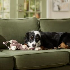 Frisco Monkey Plush With Rope Squeaky Dog Toy & Frisco Cow Plush With Inside Rope Squeaky Dog Toy -Pet Dog Supply Store 961998 PT4. AC SS1800 V1694784009