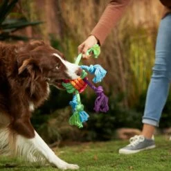 Frisco Fetch Colorful Ball Knot Rope Dog Toy & Frisco Monkey Plush With Rope Squeaky Dog Toy 13 Frisco Fetch Colorful Ball Knot Rope Dog Toy & Frisco Monkey Plush With Rope Squeaky Dog Toy -Pet Dog Supply Store 962014 PT2. AC SS1800 V1694784008