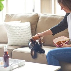 Frisco Corndog Interactive Plush Squeaky Dog Toy & Frisco Guacamole Hide & Seek Puzzle Plush Squeaky Dog Toy 14 Frisco Corndog Interactive Plush Squeaky Dog Toy & Frisco Guacamole Hide & Seek Puzzle Plush Squeaky Dog Toy -Pet Dog Supply Store 962086 PT3. AC SS1800 V1694782979