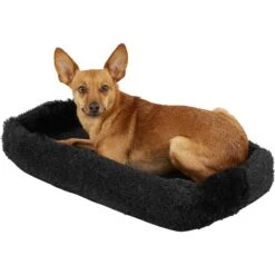 Pet Gear Bolster Pad For Happy Trails Lite No-Zip Pet Stroller, Black -Pet Dog Supply Store 97966 PT3. AC SS1800 V1567527530