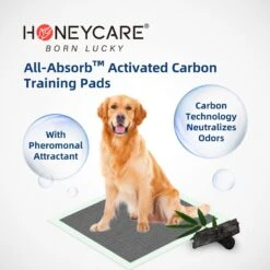 Honey Care All-Absorb Charcoal Carbon Eliminating Urine Odor Dog Training Pads, 22x23-in, 100 Count -Pet Dog Supply Store 982918 PT3. AC SS1800 V1697727170