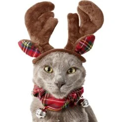 Frisco Jingle Bells Dog & Cat Holiday Collar With Bells, 1 Count & Frisco Holiday Antler Headband & Bell Collar Dog & Cat Costume -Pet Dog Supply Store 986294 PT6. AC SS1800 V1698257736