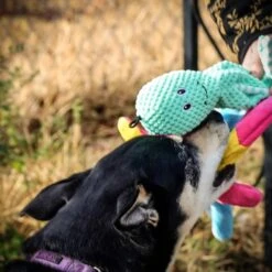 Pet Fit For Life Squeaky Plush Dog Toy For Alligator Wand, 3 Count -Pet Dog Supply Store 987270 PT3. AC SS1800 V1699648334